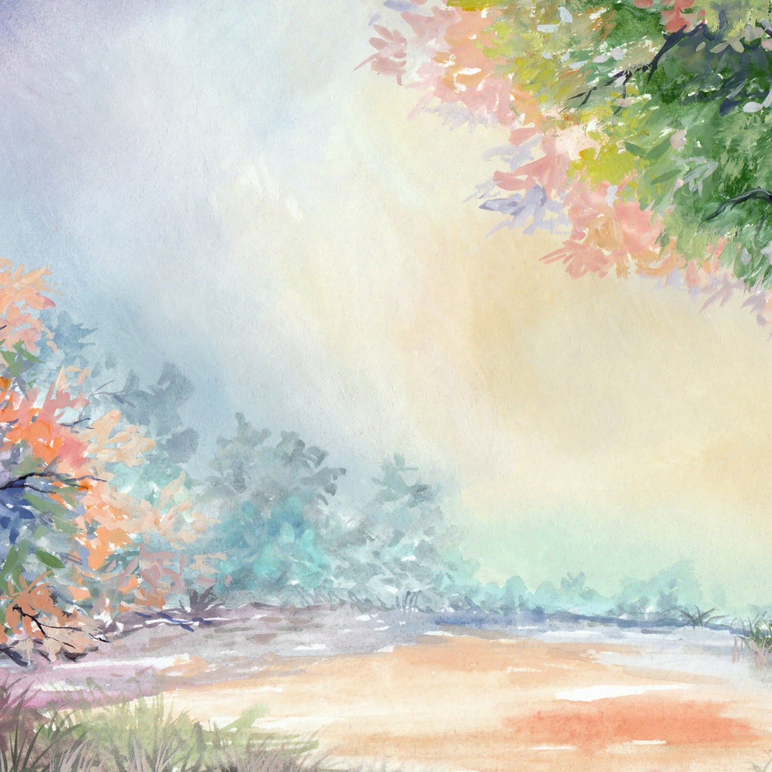 Previously Loved Backdrops