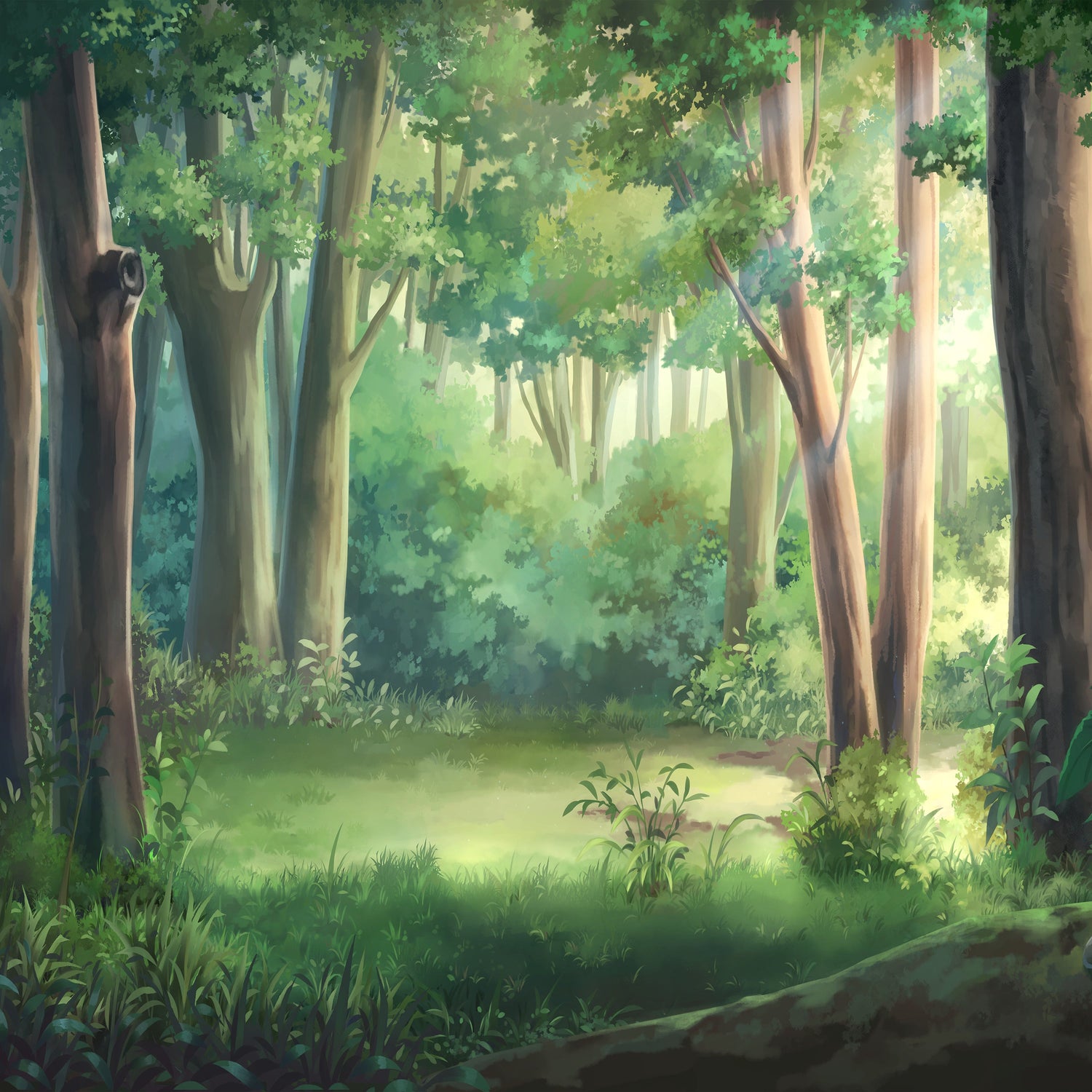 Forest