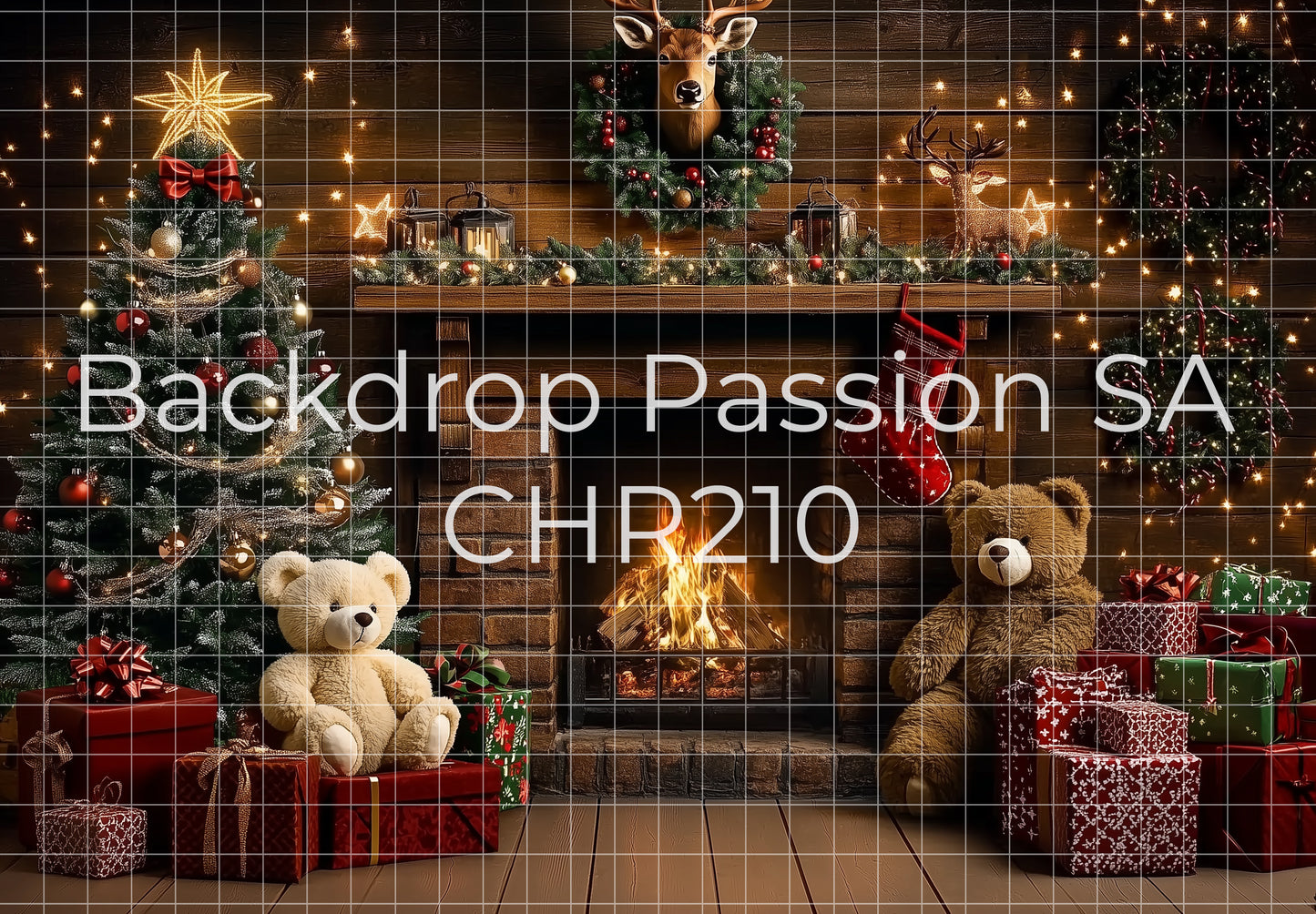 CHR210