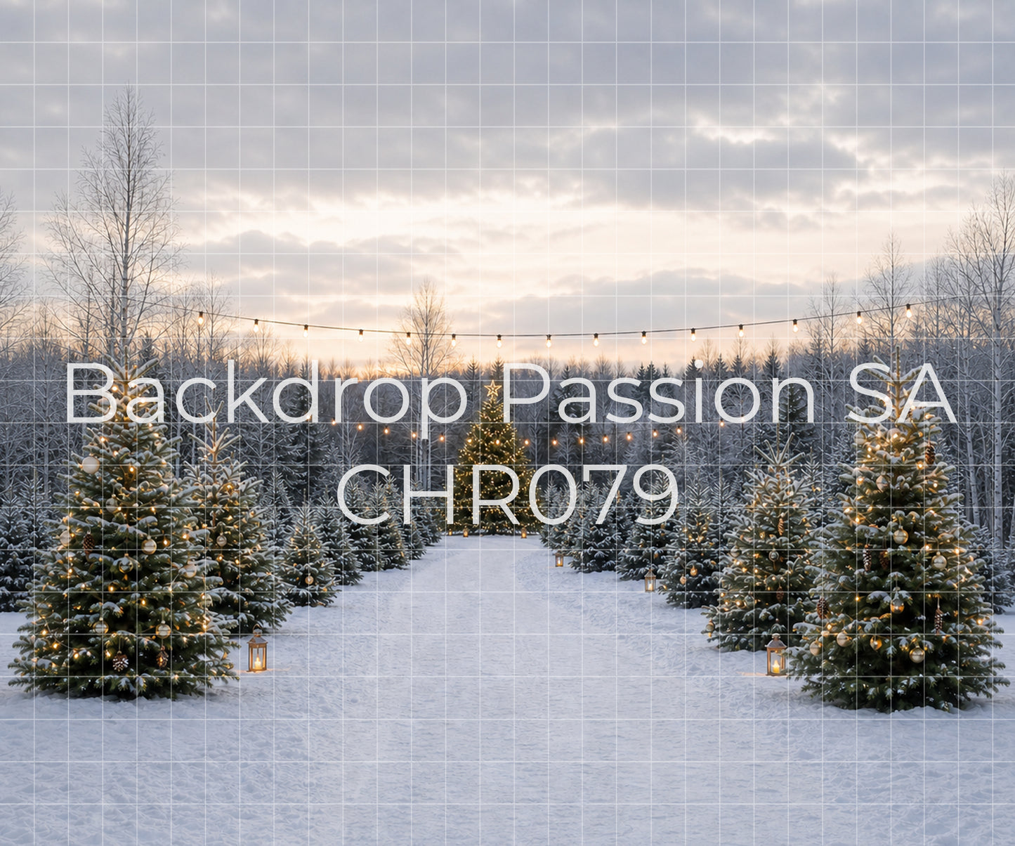CHR079