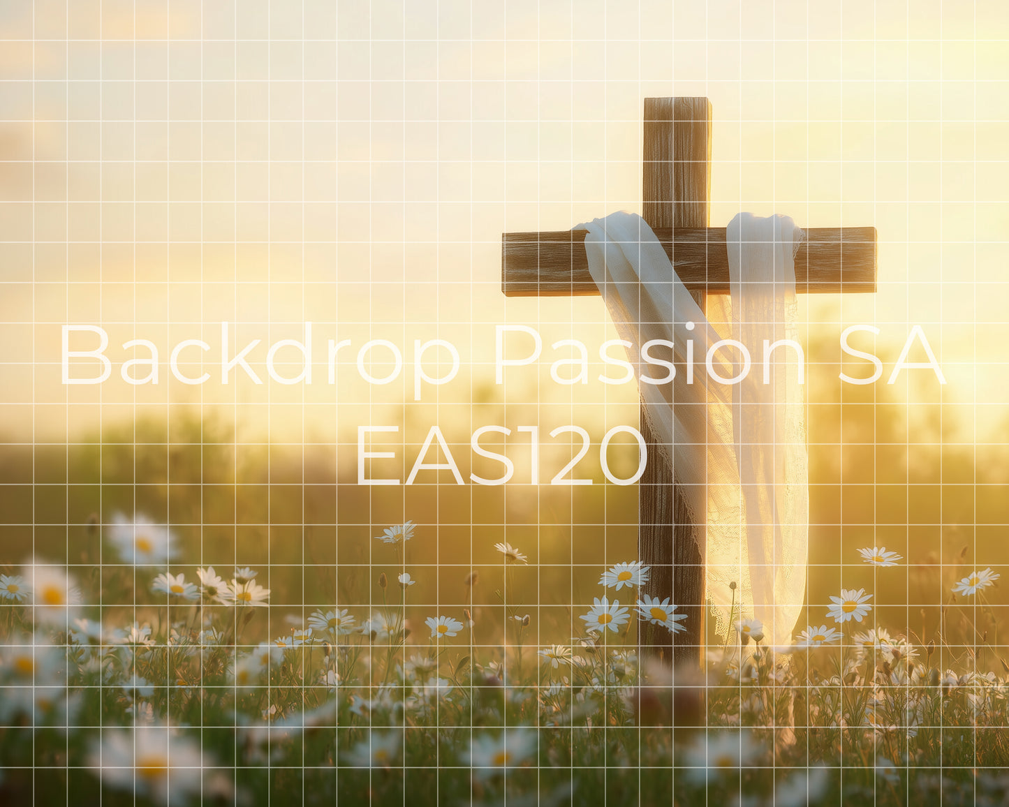 EAS120
