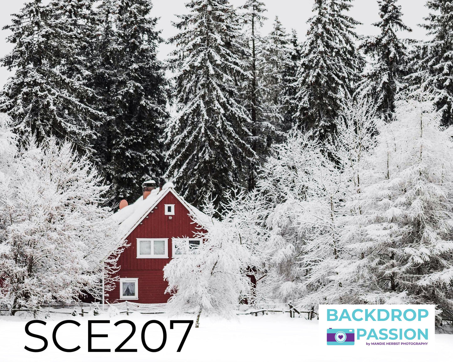 SCE207
