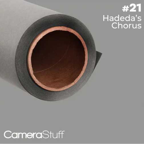 Camerastuff Seamless Paper Backdrop no21 Hadeda's Chorus Grey