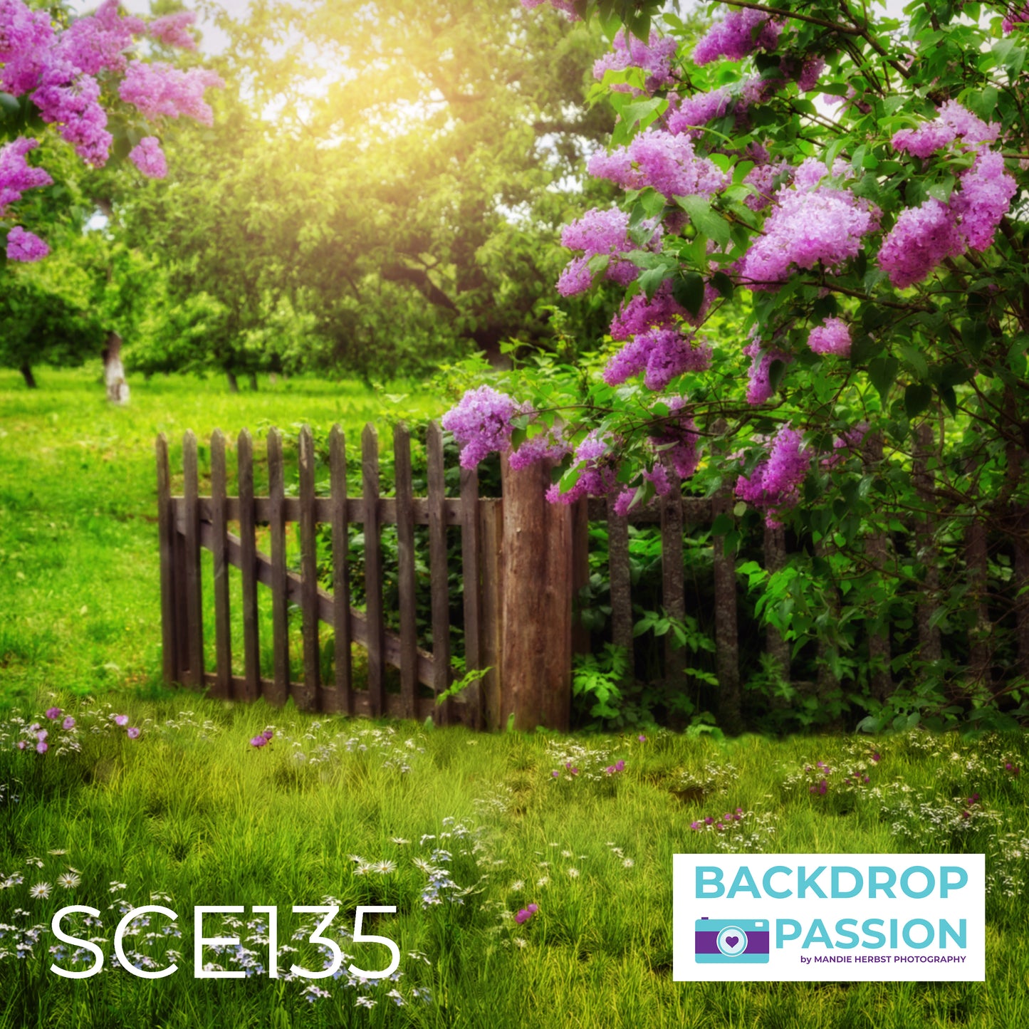 SCE135
