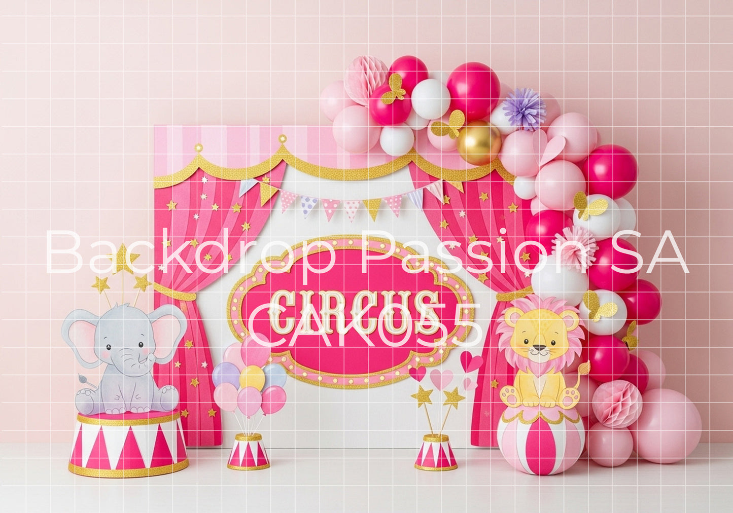 CAK055