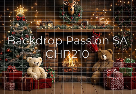 CHR210