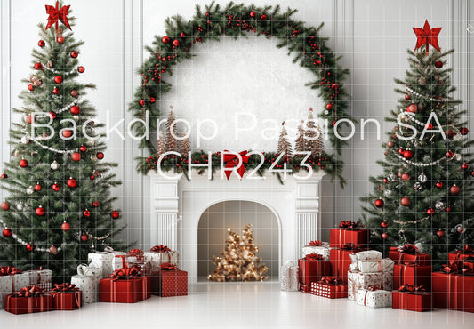 CHR243