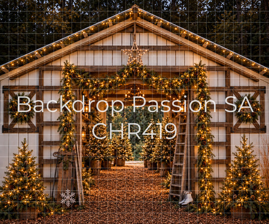 CHR419