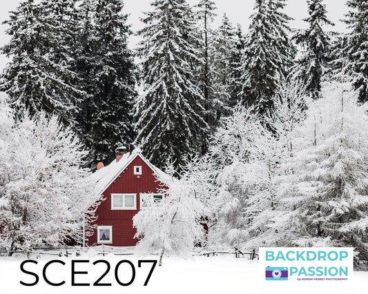 SCE207