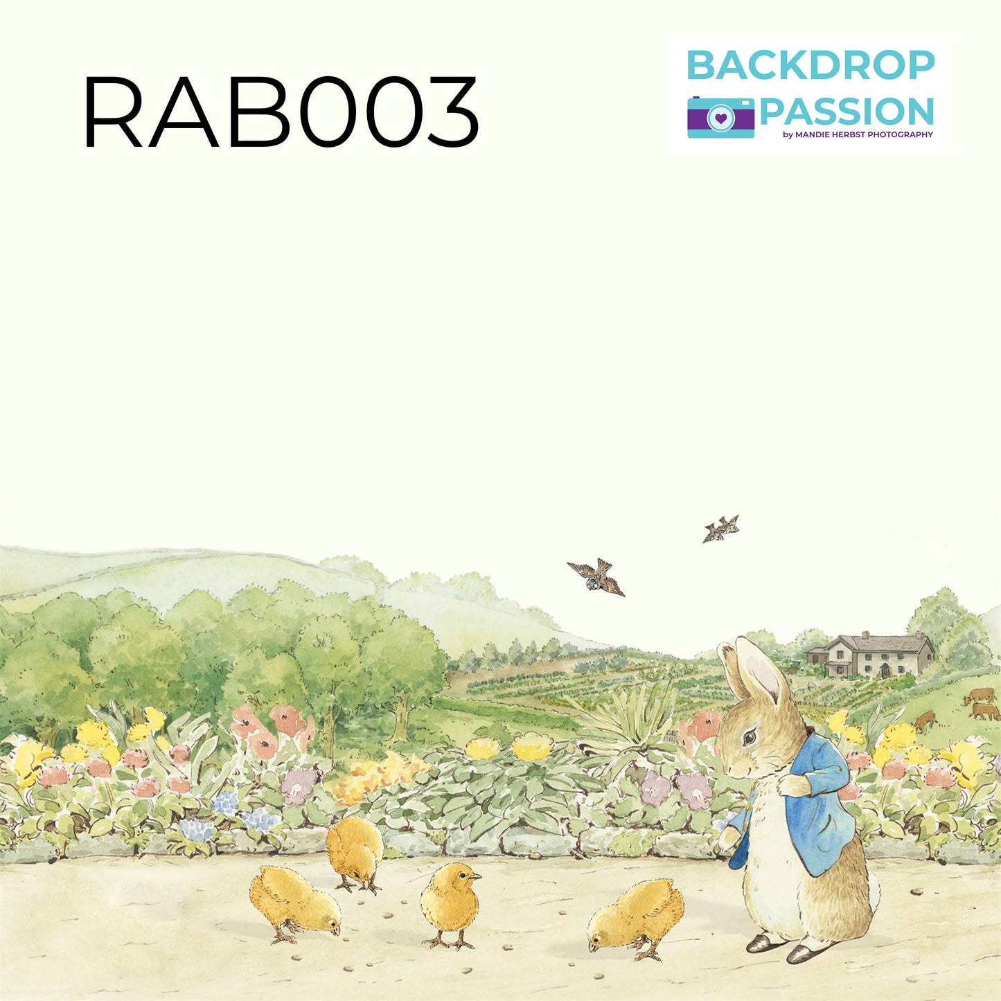 RAB003