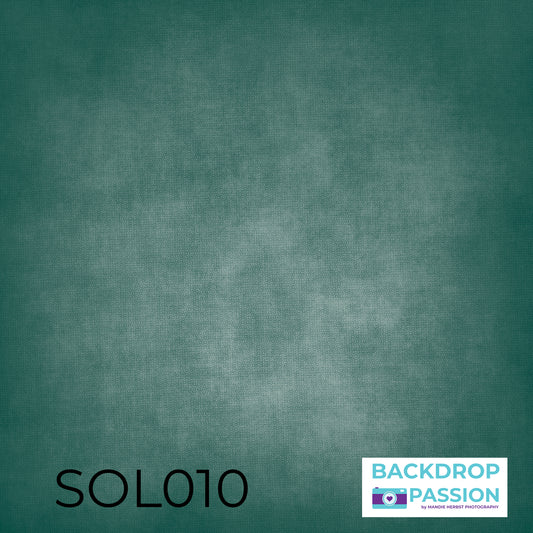 SOL010